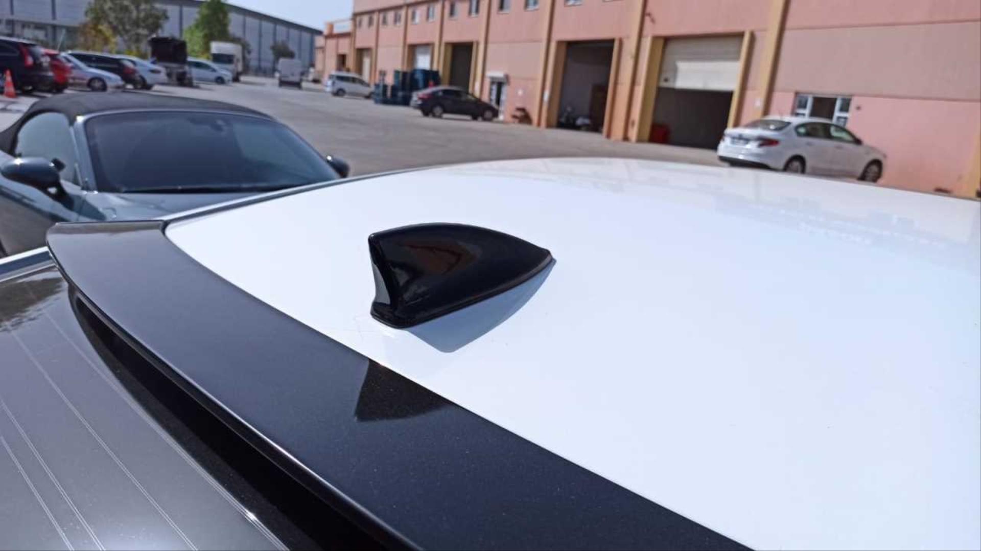 Balık Sırtı Boyasız 2