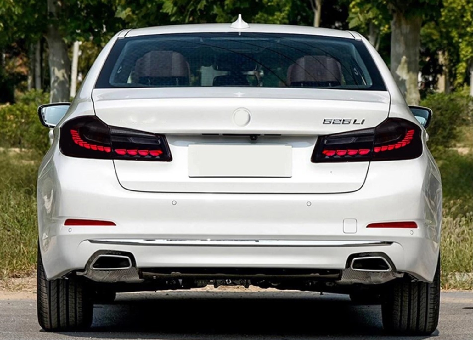 2017-2020 BMW 5 Serisi G30 için Uyumludur Dragon LED Stop - Smoke 5