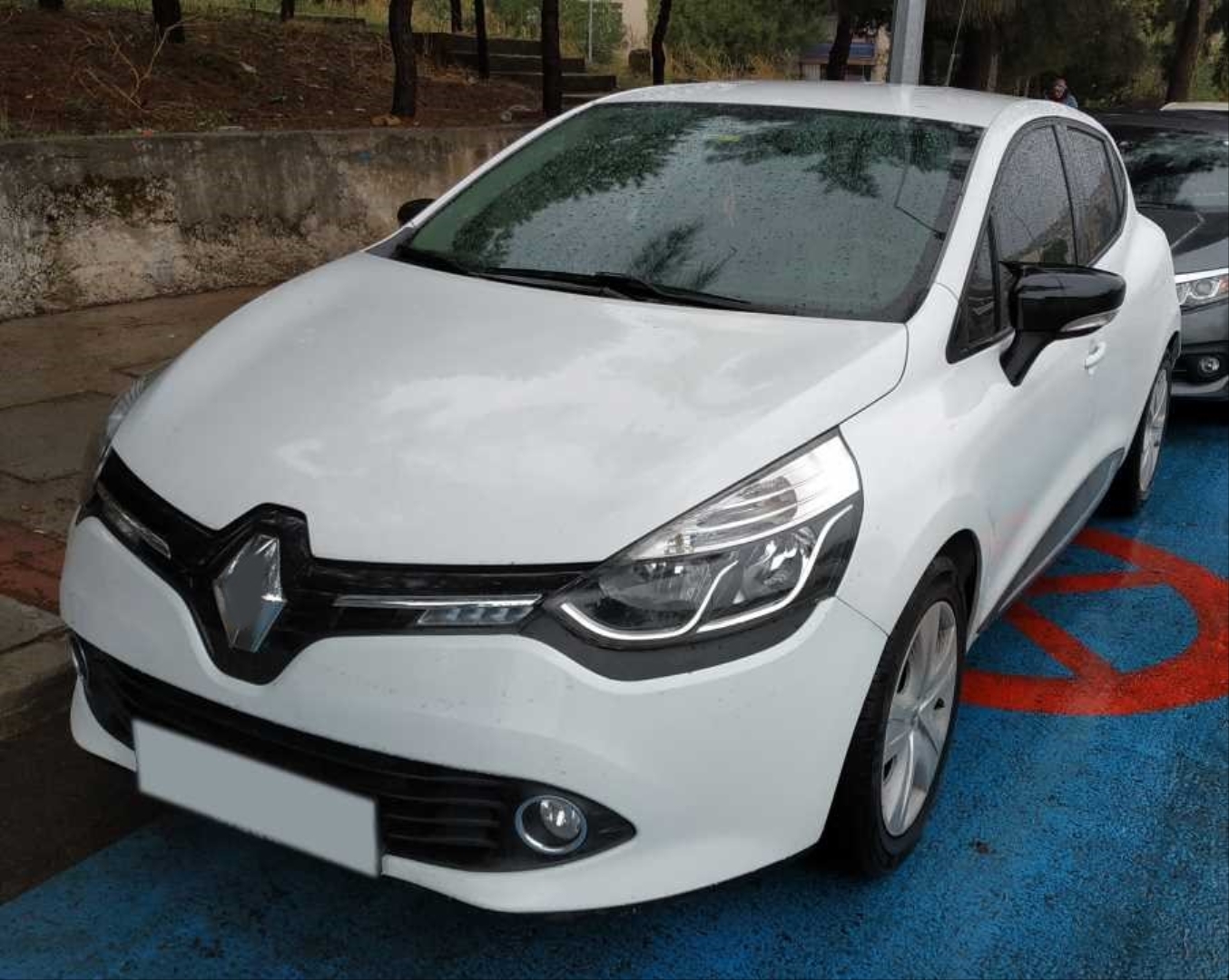 Renault Clio 4 İçin Uyumlu Yarasa Ayna Kapağı 3