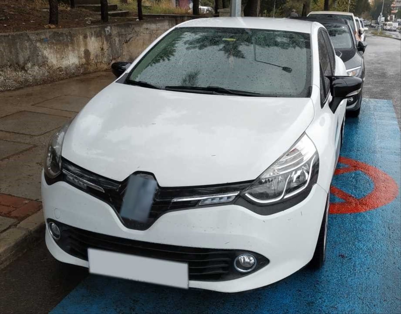 Renault Clio 4 İçin Uyumlu Yarasa Ayna Kapağı 4